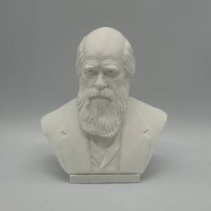Charles Darwin Bust Sculpture Statue