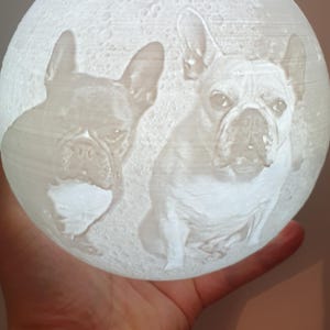 Original 3d Photo moon lamp / custom photo Personalized Moon Night light Lamp / 3D Printed / gifts for her / gifts for him