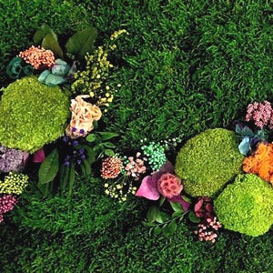 Real plants, zero maintenance. Handmade preserved moss art for modern living.
