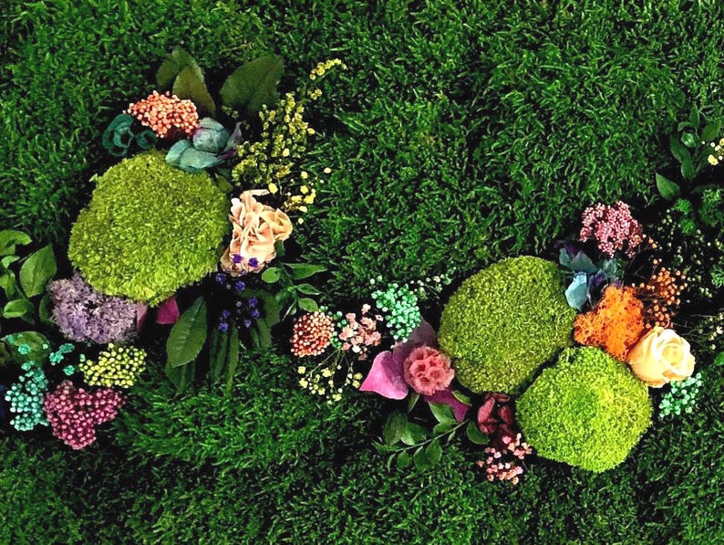 Real plants, zero maintenance. Handmade preserved moss art for modern living.
