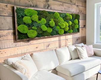Biophilic Living Room Artwork, Large Preserved Moss Ball Wall Art – Natural Moss Frame, Green Botanical Artwork,