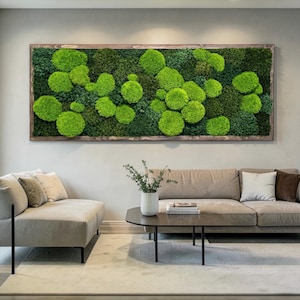 Large Preserved Moss Ball Wall Art – Natural Moss Frame, Biophilic Wall Decor, Green Botanical Artwork, Modern Nature Wall Hanging