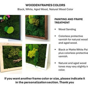 May include: The image showcases framed moss art in various wooden frame colors: black, white, aged wood, and natural wood. The frames undergo wood sanding and are treated with colorless protective varnish. The text also mentions matte white paint and natural wood tones.