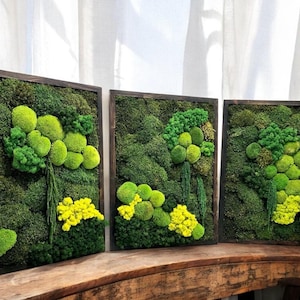 Triptych Moss Wall Art - Luxury Sage Green Wall Art Available In Multiple Sizes and Frame Color