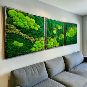 Pode incluir: Um conjunto de arte de parede em tríptico com musgo preservado em vários tons de verde-limão vibrante, esmeralda e verde-floresta. O musgo está disposto em aglomerados arredondados e texturas planas dentro de três molduras de madeira.