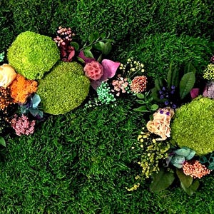 Real plants, zero maintenance. Handmade preserved moss art for modern living.