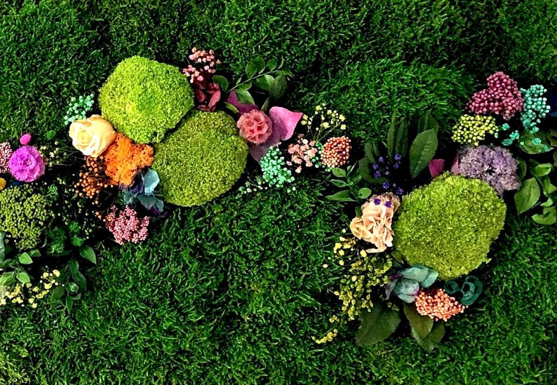 Real plants, zero maintenance. Handmade preserved moss art for modern living.