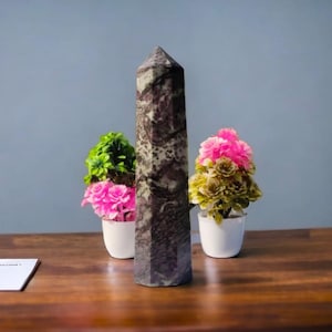 Puede incluir: Un alto punto de cristal en forma de obelisco gris y morado se encuentra sobre una mesa de madera. Dos pequeñas plantas en maceta con flores rosas y amarillas están a cada lado del cristal.