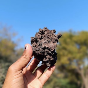 May include: A close-up of a dark brown, rough, and porous rock with a textured surface. The rock is being held in a person's hand.