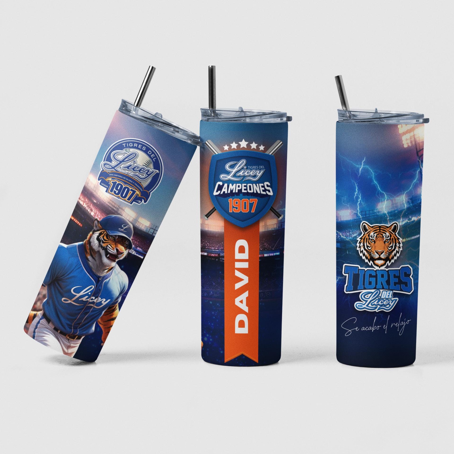 Termo de los tigres del Lisey, béisbol Dominicano, Tumbler Dominicano, botella de regalo para amigos en deporte 20oz, Republica Dominicana