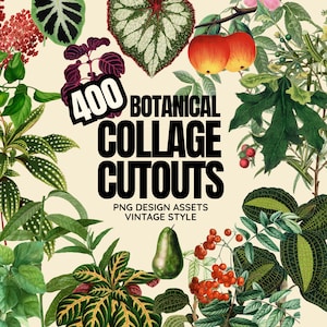 May include: A collage of vintage botanical cutouts, including leaves, fruits, and flowers. The image features a variety of green foliage, red berries, and two apples. Text reads "400 BOTANICAL COLLAGE CUTOUTS PNG DESIGN ASSETS VINTAGE STYLE."
