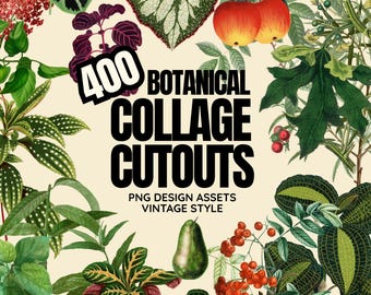 May include: A collage of vintage botanical cutouts, including leaves, fruits, and flowers. The image features a variety of green foliage, red berries, and two apples. Text reads "400 BOTANICAL COLLAGE CUTOUTS PNG DESIGN ASSETS VINTAGE STYLE."