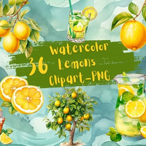 36 Watercolor Lemons Clipart PNG, digital download, paper craft, junk journal, scrapbook, free commercial use