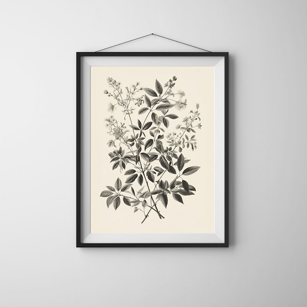 Vintage Floral Digital Print for Instant Download - Botanical Art for Rustic and Shabby Chic Home Decor