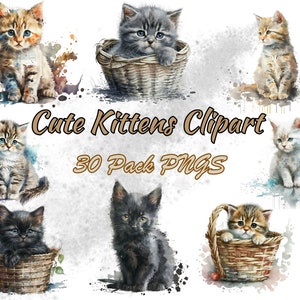 30 Watercolor Cute Kittens Pack, Kittens, Kitten Clipart graphics in PNG format for commercial use