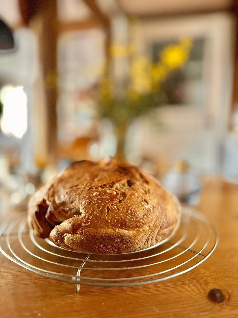 Brotbackmischung, Backe leicht DEIN Brot, Klassik Weizen, regionales Mehl, vegan, dialysegeeignet, ohne Schnickschnack, Brot über Nacht Bild 6