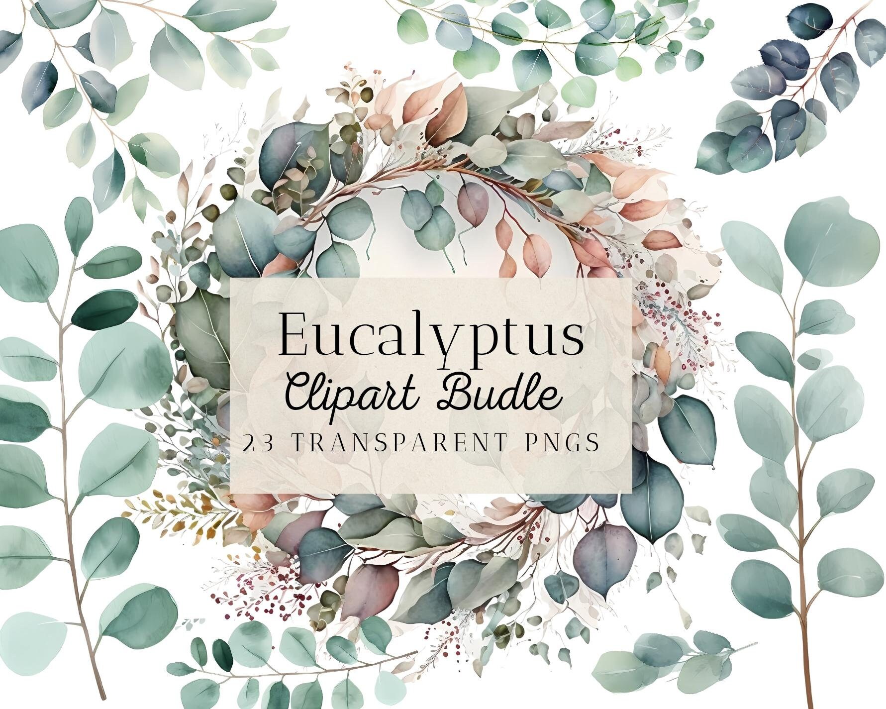 23 Watercolor Eucalyptus Clipart Bundle, Wreaths, PNG, SVG, Commercial Use, Instant Download, Digital, Printable, Scrapbooking, Junk Journal