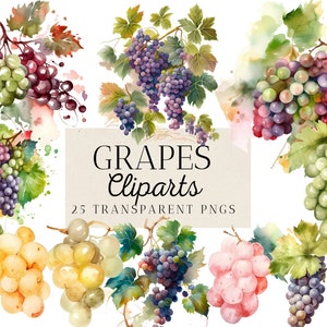 25 Grapes Watercolor Clipart Bundle, Refreshing Summer Grape Sweet Delights, grapevine bouquets, frames, Instant Download, Commercial Use