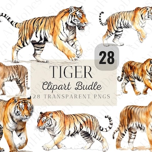 28 Watercolor Tiger Clipart Bundle, Jungle Animals, PNG, Instant Download, Commercial Use, SVG, Scrapbooking, Card Making, Junk Journal