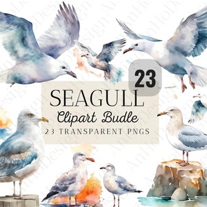 23 Watercolor Seagull Clipart Bundle, Nautica, PNG, Beach clipart, Scrapbooking, Paper craft, Junk journal, Instant Download, Commercial Use