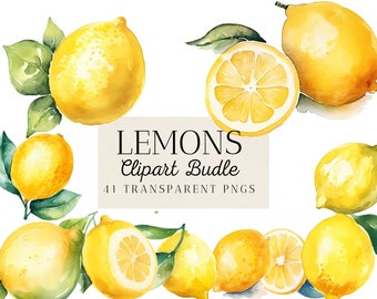 41 Watercolor Sweet Lemons Clipart Bundle, Refreshing Summer Delights, citrus fruit graphics, Greenery, commercial use, instant download