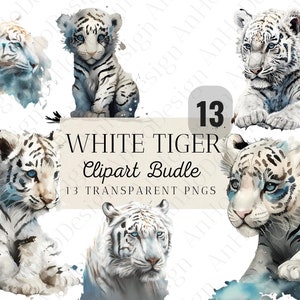13 Watercolor White Tiger Clipart Bundle, Printable Watercolor clipart, High Quality PNGs, Digital download, High resolution, Paper crafts
