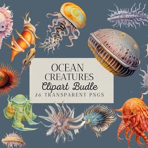 26 Watercolor Ocean Creatures Clipart Bundle, Sea Ocean Animals, Marine, Underwater Sealife, PNG, Commercial use, Instant Download
