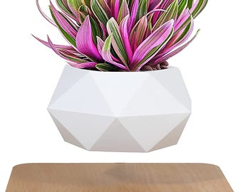 Flying Pot Flying Pot Plants Plant Plant Design Modern Water Levitating  Floating Water Floating Flower Pot - Etsy
