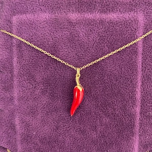 May include: A gold chain necklace with a red chili pepper pendant.