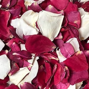 200 Red and White Freeze Dried Rose Petals + Free Tossing Cones