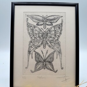 Papillons estampe numérotée