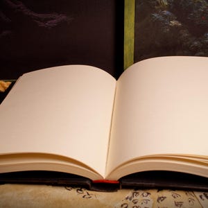 Black Book Skyrim, Skyrim book, Oblivion, Diary, journal, blank pages, Spellbook Bild 7