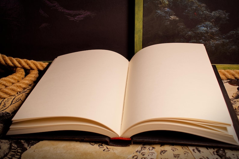 Black Book Skyrim, Skyrim book, Oblivion, Diary, journal, blank pages, Spellbook Bild 7