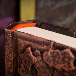 Black Book Skyrim, Skyrim book, Oblivion, Diary, journal, blank pages, Spellbook Bild 8