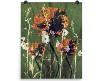 Impressão botânica de papoulas selvagens – pôster de fotografia floral rústica, decoração cottagecore, sem IA