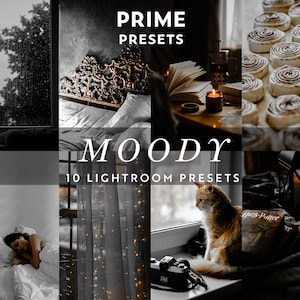 10 Moody Lightroom Mobile & Desktop Presets, Dark Aesthetic Presets, Goth Preset, Spooky Filter, Haunted Hallloween Insta, Dark Mood Filter