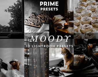 10 Moody Lightroom Mobile & Desktop Presets, Dark Aesthetic Presets, Goth Preset, Spooky Filter, Haunted Hallloween Insta, Dark Mood Filter