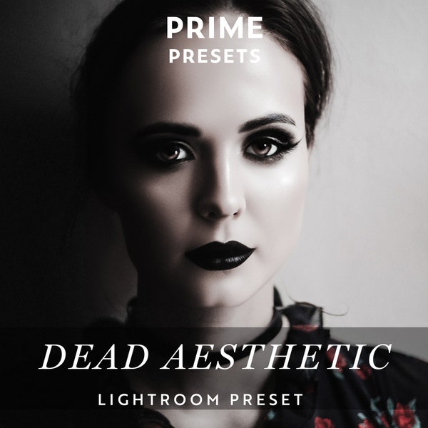 GOTH Dark Aesthetic Lightroom Presets 90s Goth Dark Feminine Aesthetic Goth Girl Preset Filter Gothic Instagram Filter Dark Moody Preset