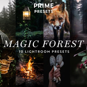 10 Magic Forest Lightroom Presets, Moody Dark Woods Autumn, Dark Aesthetic Presets, Fantasy Witchy Instagram, Dark Mood Filter