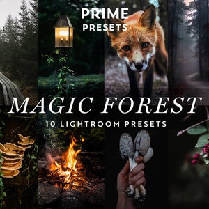 Könnte beinhalten: Eine Collage von Bildern, die einen Satz von 10 Lightroom-Presets namens "Magic Forest" von Prime Presets zeigen. Die Bilder zeigen einen Waldweg, einen Fuchs, eine Laterne, Pilze, ein Lagerfeuer und eine Waldszene mit Beeren.