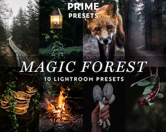 10 ajustes preestablecidos de Lightroom: Bosque mágico, Otoño con un bosque oscuro y melancólico, Ajustes preestablecidos de estética oscura, Instagram de fantasía y brujería, Filtro de estado de ánimo oscuro