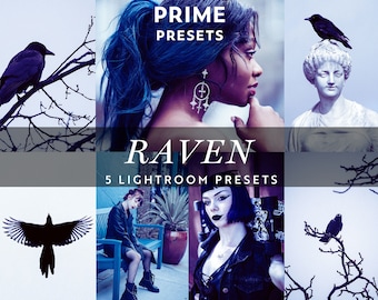 5 paramètres prédéfinis corbeau Lightroom pour mobile et ordinateur de bureau, filtre hiver sombre, prédéfinition gothique, paramètres prédéfinis esthétiques sombres, filtre esthétique lunatique, Instagram effrayant