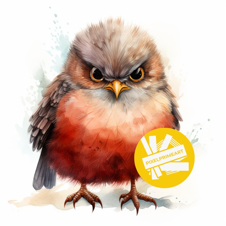 Grumpy Bird Watercolor Clipart, Printable Watercolor Clipart, Bird ...