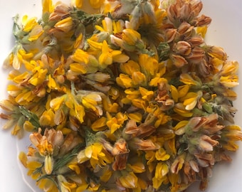 Carqueja Dried Organic Flowers (Flor de Carqueja) - Pterospartum Tridentatum