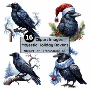 Imagens de clipart de Raven de férias de inverno Conjunto de 16 adesivos de pássaros de clipart festivos de Natal para artesanato, cartões, álbuns de recortes, decoração e muito mais