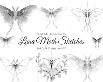 Luna Moth Clip Art Bundle: Ethereal Insect PNG, Tattoo Design (Digital Download)