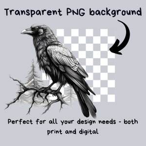 Peut inclure: Illustration en noir et blanc d'un corbeau perch&eacute; sur une branche. Le corbeau est dessin&eacute; dans un style r&eacute;aliste avec des plumes d&eacute;taill&eacute;es. L'arri&egrave;re-plan est un motif de damier transparent.