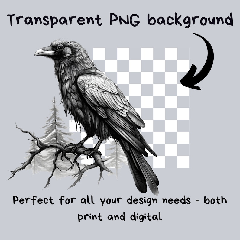 Peut inclure: Illustration en noir et blanc d'un corbeau perch&eacute; sur une branche. Le corbeau est dessin&eacute; dans un style r&eacute;aliste avec des plumes d&eacute;taill&eacute;es. L'arri&egrave;re-plan est un motif de damier transparent.