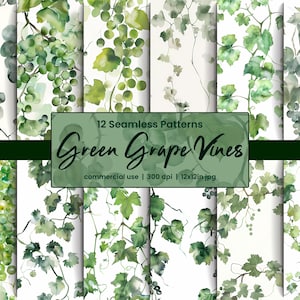 May include: A collection of 12 seamless patterns featuring watercolor illustrations of green grape vines. The designs showcase various arrangements of grapes and leaves in shades of green and gray, with the text "Green Grape Vines".