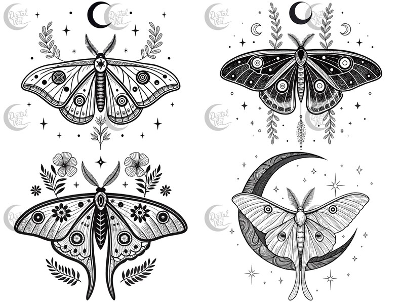 May include: Four black and white illustrations of moths with intricate details. Each moth is surrounded by crescent moons, stars, and floral elements.